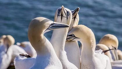 山南伴游，定制QQ：3494206190微信：act1322